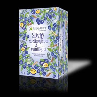 MEGAFYT Slivky so škoricou & vanilkou 20 x 2 g