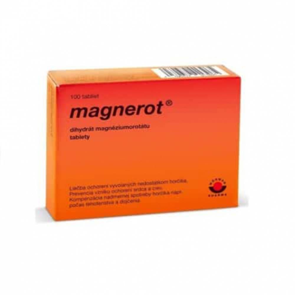  Magnerot tbl.100 x 500 mg