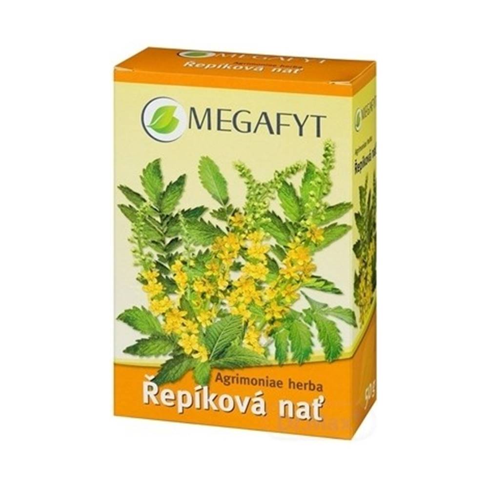 Megafyt MEGAFYT REPÍKOVA vňať bylinný čaj sypaný 1x50 g