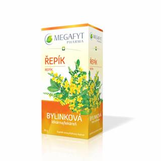 MEGAFYT Bylinková lekáreň Repík porciovaný čaj 20x1,5g